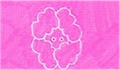 The Fan Club Orchestra