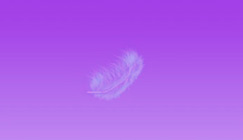 Mr Geoffrey & JD Franzke