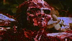 Christening Black Death With The Devourm