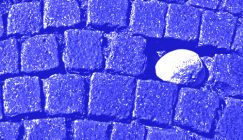 Tom Jackson, Neil Metcalfe, Benedict Tay