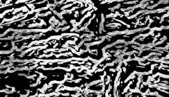 Pit Of Despair/Woods Mattress